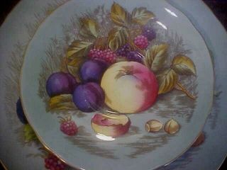 Ansley 3 Pc.  Fruit Orchard Footed Tea Cup,  Saucer desert Signed D.  Jones 2