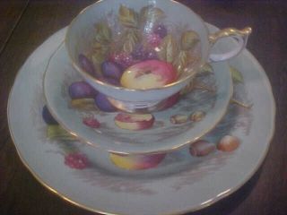 Ansley 3 Pc.  Fruit Orchard Footed Tea Cup,  Saucer desert Signed D.  Jones 5