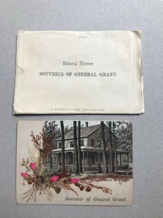 Souvenir Of General Grant Civil War Dried Flower Postcard Mt.  Mcgregor Drexel
