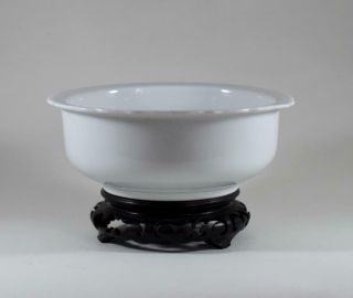 Chinese Dehua Blanc - De - Chine Porcelain Bowl
