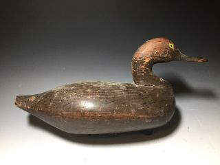 Great Antique Goose Decoy Early Primitive Folk Art Duck Paint Old