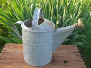 Vintage Galvanized Watering Can Sprinkler W/ Brass Head Farm Garden 3 Primitive