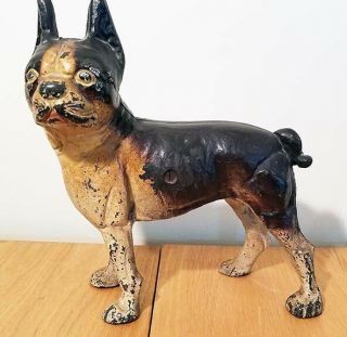 Vintage Rare Left Facing Cast Iron Boston Terrier Dog 10 In " Tall