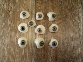 , Rare,  10 Human Prosthetic Glass Eyes Lauscha / Germany C1930