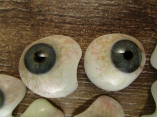 , RARE,  10 human prosthetic glass eyes Lauscha / Germany c1930 9
