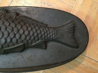 Mid 19th Century Tin Food Mold Of A Fish Flat Oval Form W Nicely Detailed Fish 3