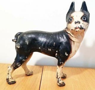 Vintage Cast Iron Boston Terrier Dog 9 Inches Tall