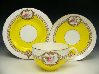 Royal Worcester Yellow Hand Painted Roses Gold Trio Plate Tea Cup & Saucer