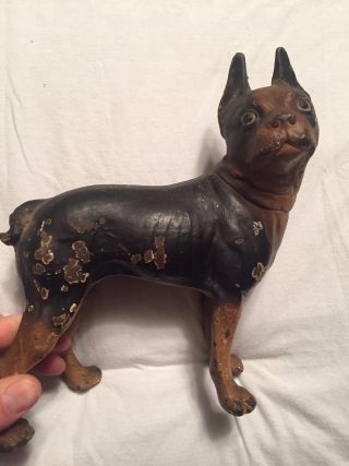 Antique Hubley Boston Terrier Dog Cast Iron Doorstop Collectible