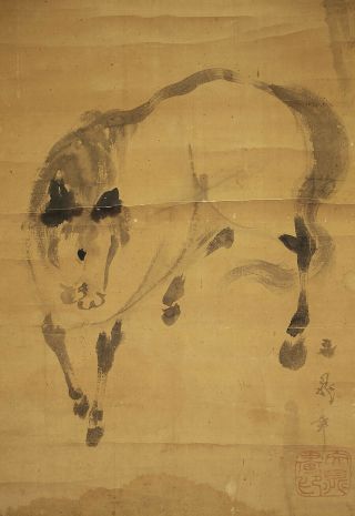 掛軸1967 Japanese Hanging Scroll : Tani Buncho " Horse " @b660