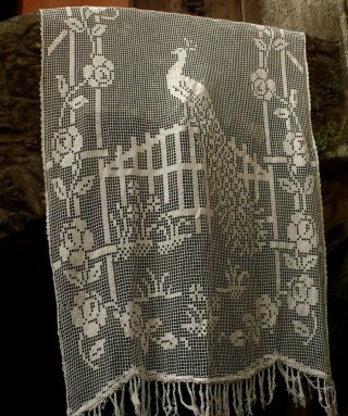 Antique / Vintage Big French Lace Net Curtain With Peacock 88 X 52 Inches.