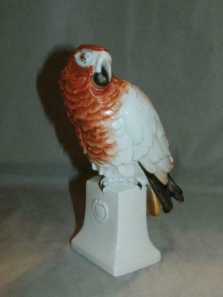 C.  1935 Rosenthal Moldenhauer 22 Porcelain Parrot Bird On Plinth Figurine 7 "