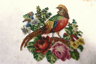 Antique 19th C Petit Point Embroidered Picture Bird And Flowers Unframed