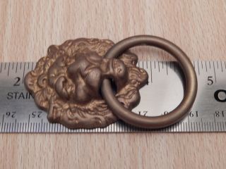 Drawer Ring Pull Lions Head Aged Brass 3