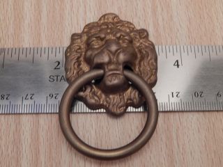 Drawer Ring Pull Lions Head Aged Brass 4