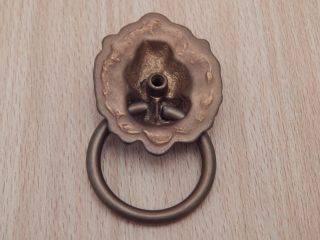 Drawer Ring Pull Lions Head Aged Brass 5