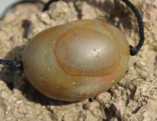 Afghan Onyx 500,  Years Old Agate Sulemani Ancient big Eye Beads Size 4.  1 3.  2 cm 4