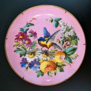 Antique Old Paris Porcelain 10 1/2 " Wide Hand Painted Pink Blue Bird Charger