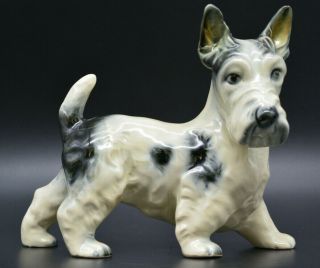 Lovely Cortendord German Porcelain Antique Vintage Dog Cairn Terrier Figurine 6½