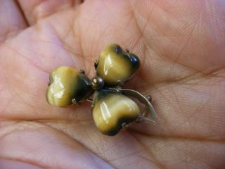 Vintage Tiny Tiger Eye Clover Shape Brooch Pin 181 2