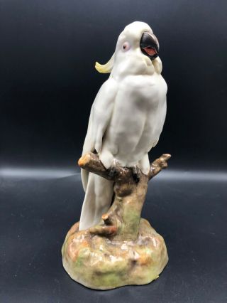 Exquisite Vintage 11 " Tall Porcelain Cockatoo Ceramic Bird Figurine Signed