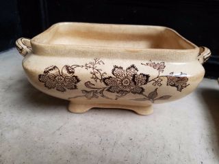 Ant Brown Aesthetic Transferware J.  F.  WILEMAN 3 pc Soup Tureen Chinese Plant 7