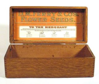 1906 Antique FERRY & CO.  Detroit FLOWER SEEDS STORE DISPLAY BOX Golden Oak 2