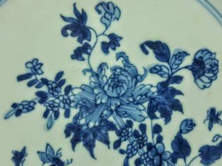 Antique 18th Century Chinese Blue & White Porcelain Floral Plate 4