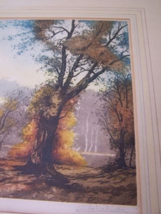 RARE Antique Jean Joseph CHABRIDON Artist Proof Etching Park Versailles France 4