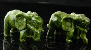 A pair 100 China natural jade hand - carved statues of elephant very good c02 3