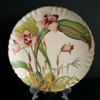 Antique Minton England C3108 Botanical Floral 8 5/8 " Wide Plate