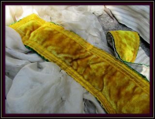 Lush Antique Edwardian Teens Marigold Silk Velvet Trim Unique Edging Lined Orig