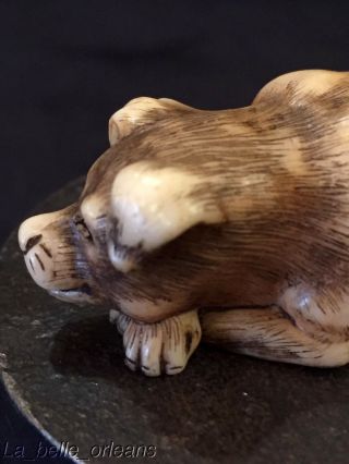 VINTAGE DOG NETSUKE SIGNED 1992 WAG MMA/ METROPOLITAN MUSEUM OF ART.  L@@k 3