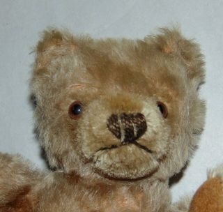 ADORABLE STEIFF Mohair TEDDY BEAR Vintage SQUEAKER 2