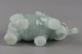 Chinese Exquisite Hand - carved Elephant Carving jadeite jade statue 5