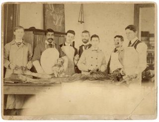 Yale Medical School 1892 Photo Students & Cadaver Skeleton Inc Brown Skinned Man