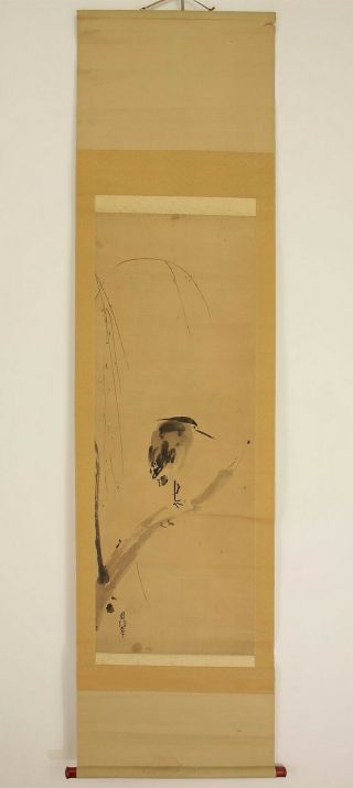 掛軸1967 Japanese Hanging Scroll : Kano Chikanobu " Egret " @r965