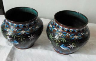 Good Antique Japanese Cloisonne Bowls Meiji.  Quality