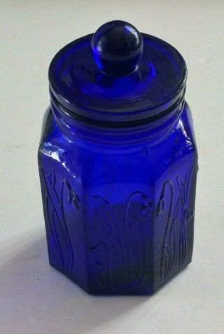 SCARCE VINTAGE ITALIAN COBALT BLUE GLASS HERBAL APOTHECARY JAR 2