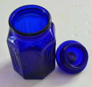 SCARCE VINTAGE ITALIAN COBALT BLUE GLASS HERBAL APOTHECARY JAR 3
