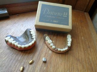 Collectible Set Of Antique Dentures With 2 Gold Teeth Decoration Only