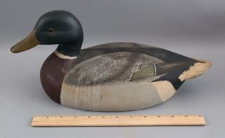 Authentic Hand Carved & Painted,  Ken Harris,  Mallard Drake Duck Decoy,  Nr
