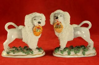 Pair Vintage German 4 " Porcelain Poodle Dog Figures W Baskets - Gold Anchor Mark