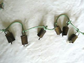 Vintage Strung Cow Goat Camel Bells Set Of 6 Forged Brass