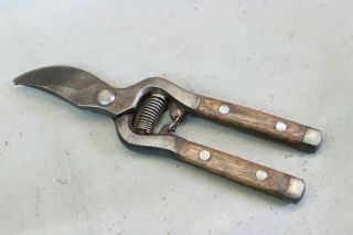 Vintage Garden Tool Victorian? Hand Secateurs Old Antique