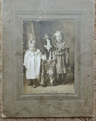 Cabinet Card 1890s Sisters & Vtg Dog,  Fox Terrier Photo By Photographer En Route