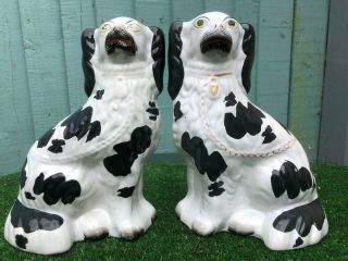 Pair: 19thc Staffordshire Seated Black & White Spaniel Dogs C1880s