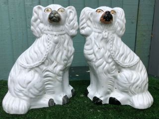 Pair 19thc Staffordshire Seated White & Gilt Spaniel Dogs C1880s