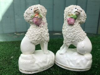 Pair: Mid 19thc Staffordshire Poodle Dogs With Baskets In Mouths C1840s