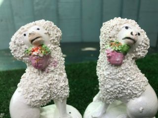 PAIR: MID 19thC STAFFORDSHIRE POODLE DOGS WITH BASKETS IN MOUTHS c1840s 2